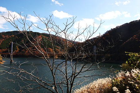 晩秋の九頭竜湖(1)