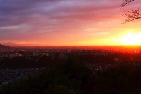 太陽が地面に落ちたみたい！(＠_＠;)