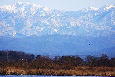 白山と柴山潟