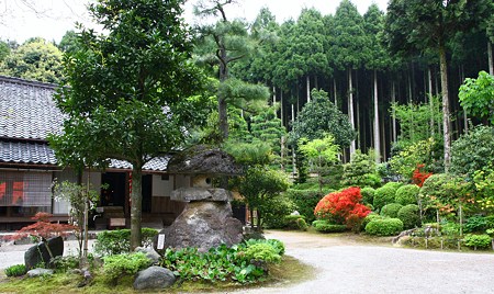 円光寺　のとキリシマツツジのお寺