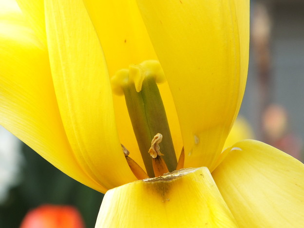 DSCF0043
