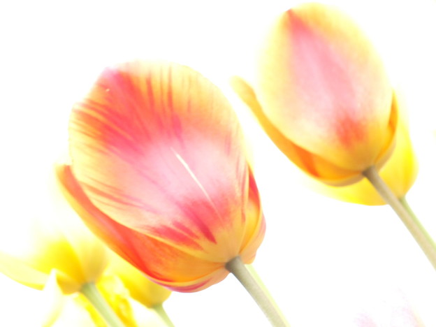 DSCF0063