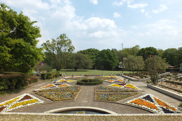 DSCF0347