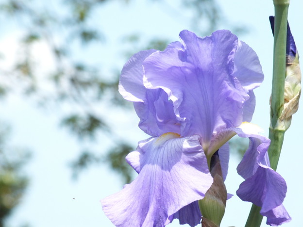 DSCF0349