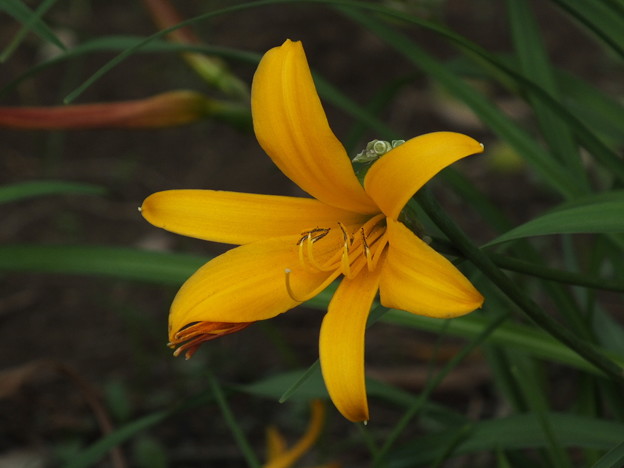 DSCF0199