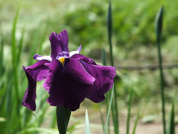 DSCF0101