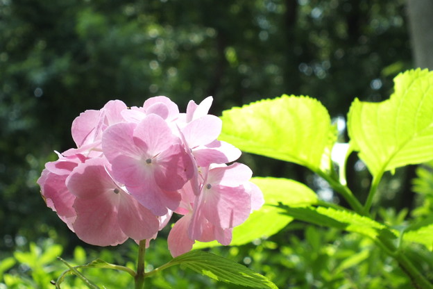 DSCF0068