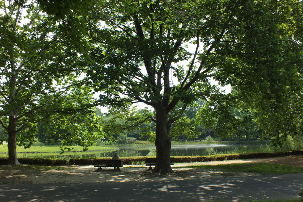 DSCF0005