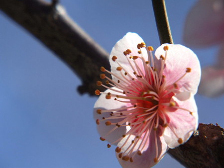 2008_02280126