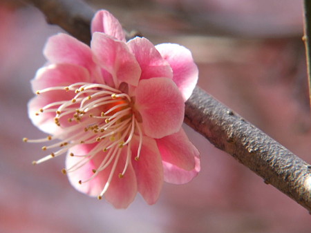 2008_03040207