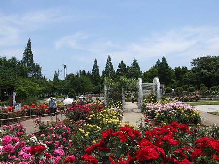 2008_05270008