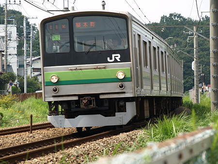 横浜線205系(成瀬界隈)