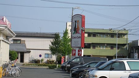 IMG_5555
