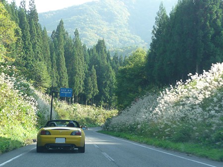 写真00506