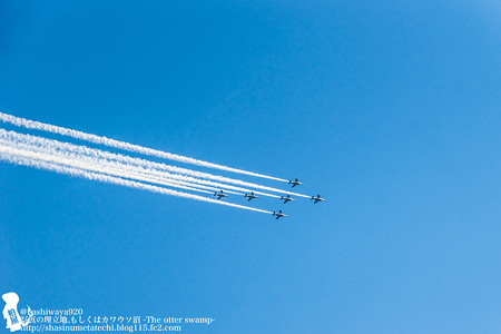 blueimpulse140531030