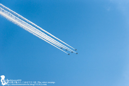 blueimpulse140531034
