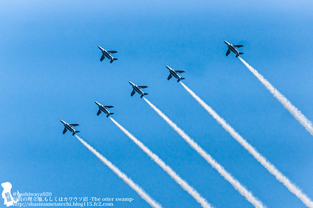 blueimpulse140531063