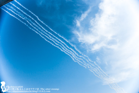 blueimpulse140531066