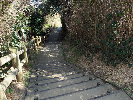 台場跡広場へ続く道