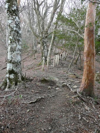 八丁池へ続くハイキングコース