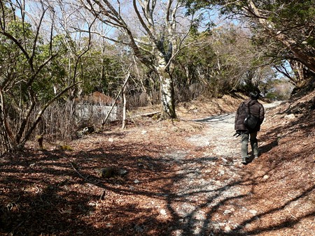 八丁池へ続くハイキングコース