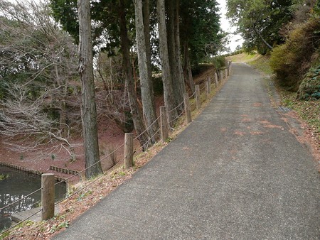 箱井戸から二ノ丸へ続く道