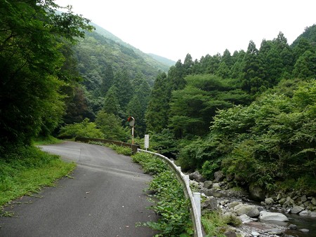 林道茅尾根線との合流部