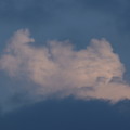 Photos: 夕陽照らす雲