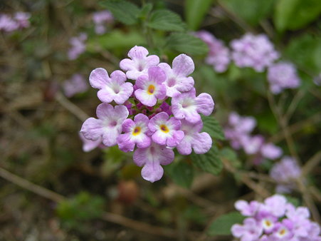 DSCN1562