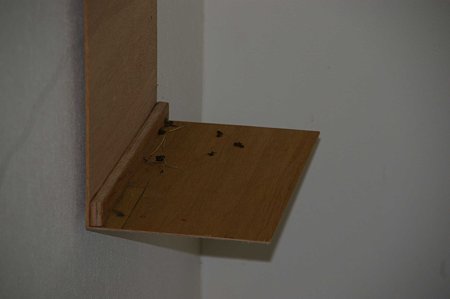 あっ、泥が増えてる