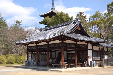 京都特別公開 062