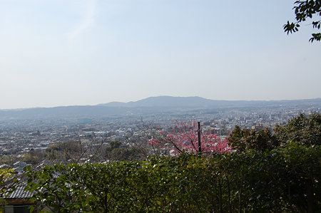 白豪寺