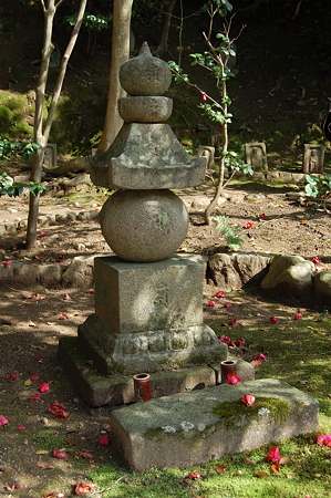 白豪寺境内