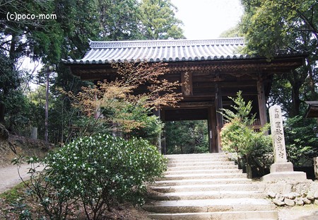 円教寺仁王門2014年04月12日_P4120102