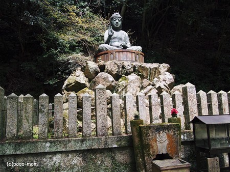 円教寺2014年04月12日_P4120154