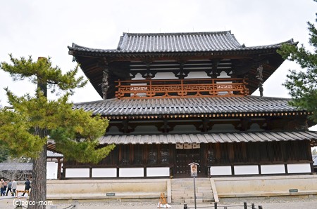 法隆寺 金堂2014年02月10日_DSC_0315