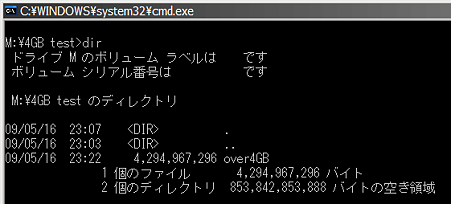 4GB超ファイル/MaxtorSharedStorageII