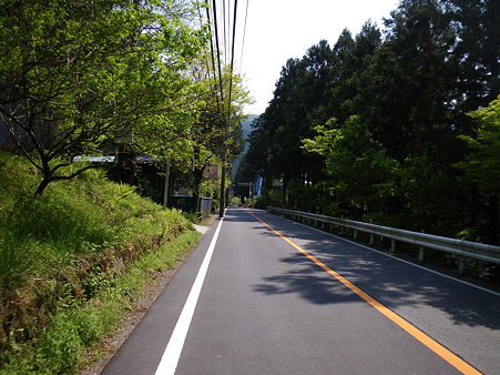 090430 青梅街道