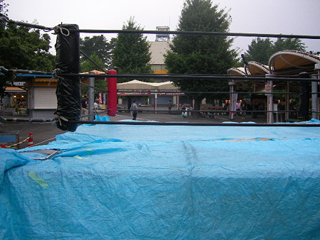 ddt 002