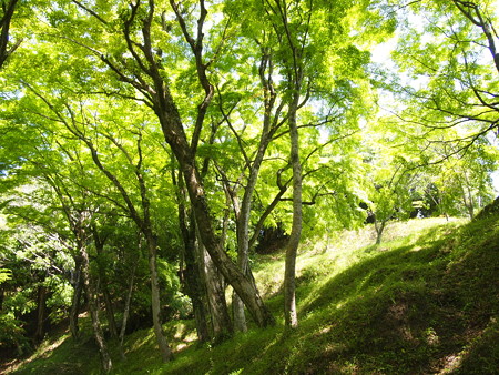 P5042446