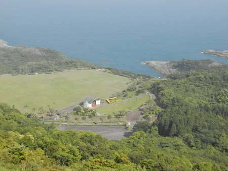 P5313986