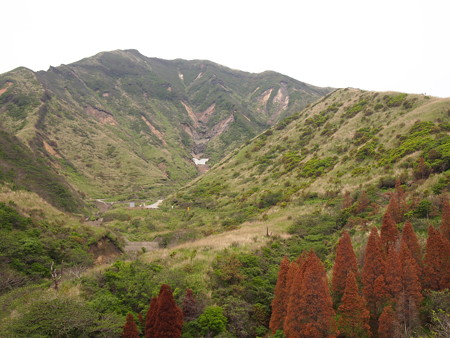 P6013347