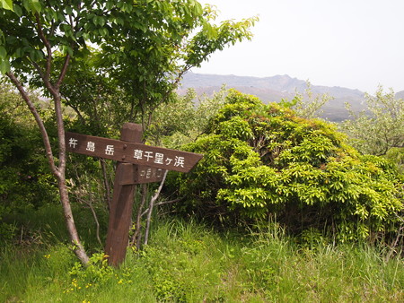 P6013385