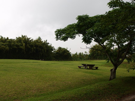 P6080051