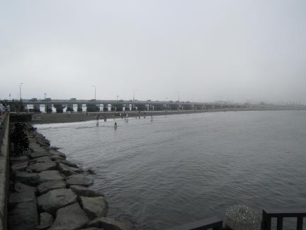 江の島側より