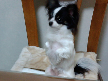 20080524175817
