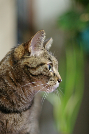 IMGP0805
