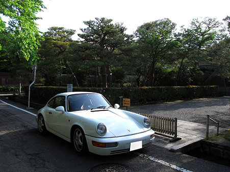 RIMG2937