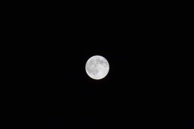 IMG_8601