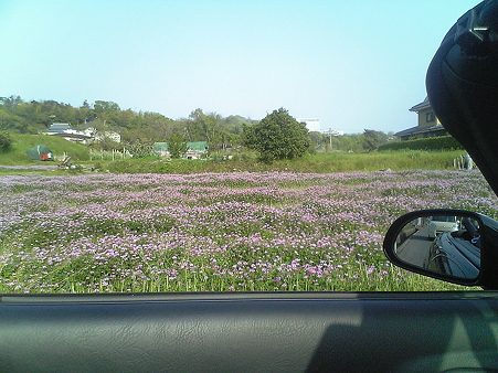Image096